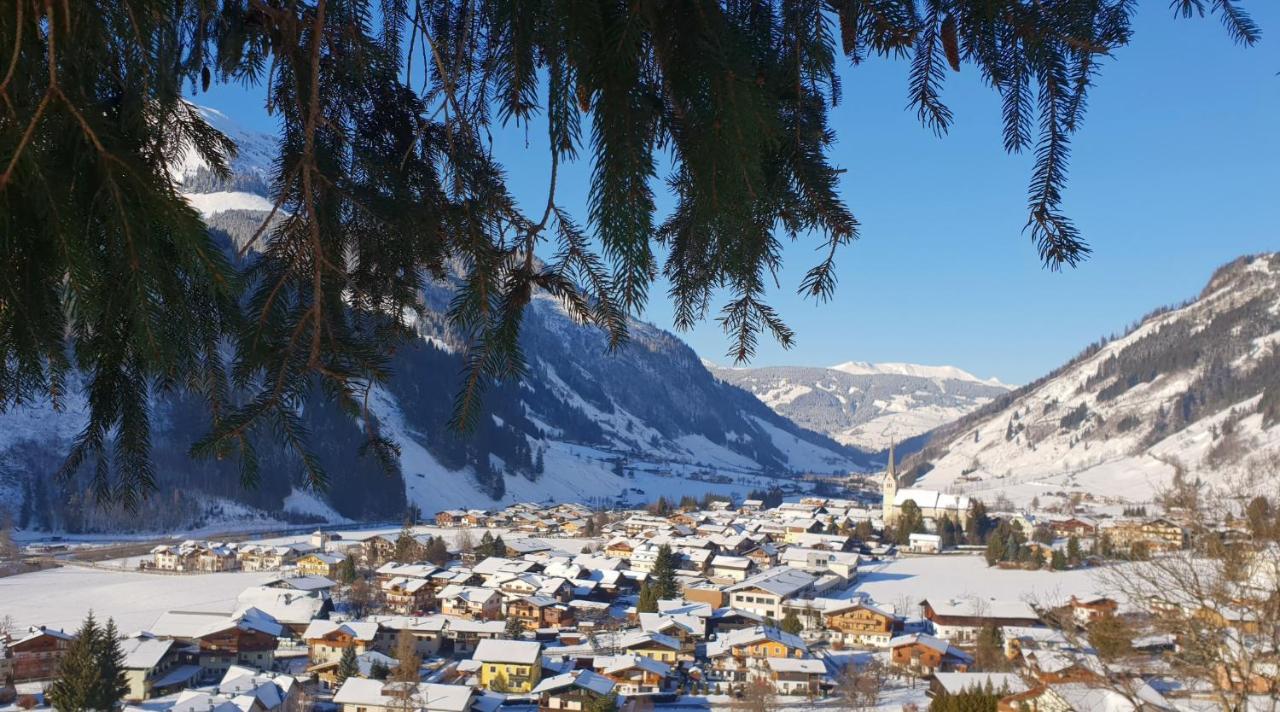 劳里斯 Salzburgerhof酒店 外观 照片